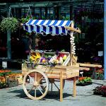 Houten marktwagen met luifel (blauwwit)
