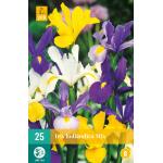 Iris hollandica - mix (25 stuks)