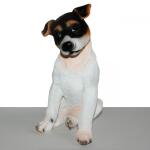 Jack Russel zittend