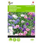 Korenbloem Mix - Centaurea cyanus