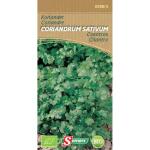 Koriander - Coriandrum sativum BIO