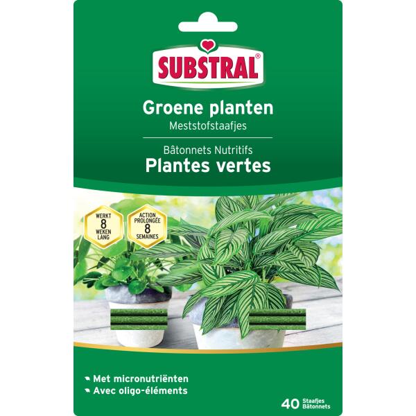  - Substral meststaafjes groene planten