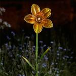 Bloem Narcis - lichtgevend op zonne-energie - tuinprikker