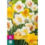 Narcissus dubbelbloemig mix