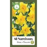 Narcissus grootkronig geel (40 stuks)