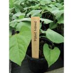 Plantenlabels hout - 10 cm (10 stuks)