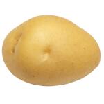 Pootgoed aardappelen Berber Hollande - 1,5 kg