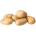 Pootgoed aardappelen Bintje France - 1,5 kg