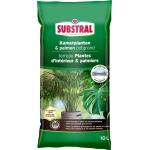Substral potgrond kamerplanten en palmen 10 liter