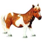 Shetlandpony bruin en wit