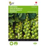 Spruitkool Groninger - Brassica oleracea