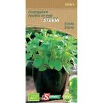 Suikerplant / Stevia - BIO