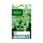 Stevia/suikerplant - Stevia rebaudiana