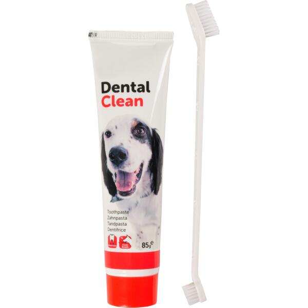 Tandpasta en tandenborstel hond