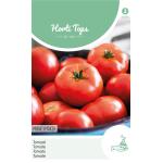 Tomaten Moneymaker - Lycopersicon lycopersicum