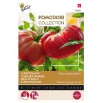 Tomaten Pomodori Bistecca F1 - Lycopersicon esculentum