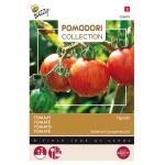 Tomaten Pomodori Tigerella - Lycopersicon esculentum