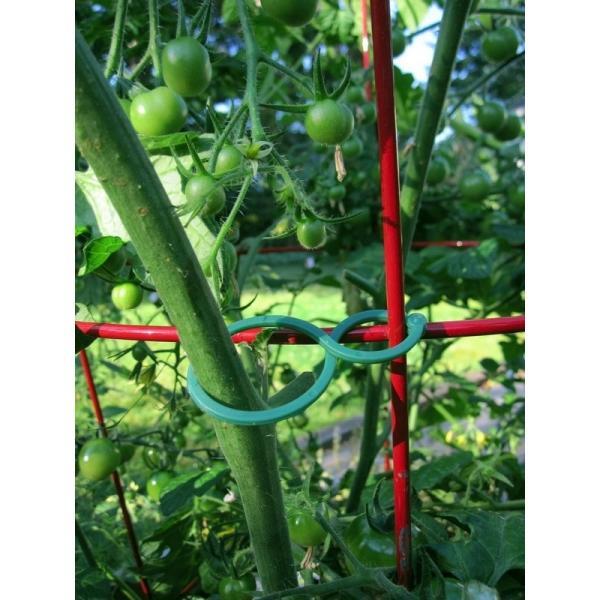  - Tomatenclips 8-vorm - groeihulp