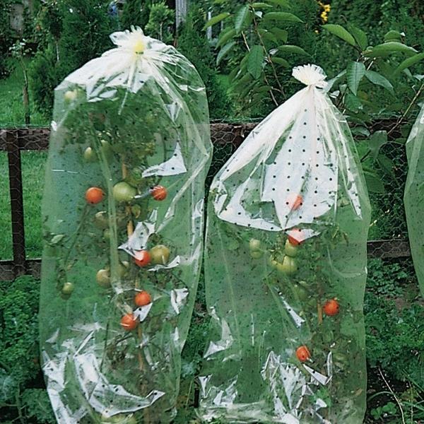 Tomatenhoezen 10 x 0,65 m