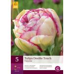 Tulipa Double Touch - Tulp dubbellaat