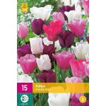 Tulipa Pastel mix - Triumph tulp (15 stuks)