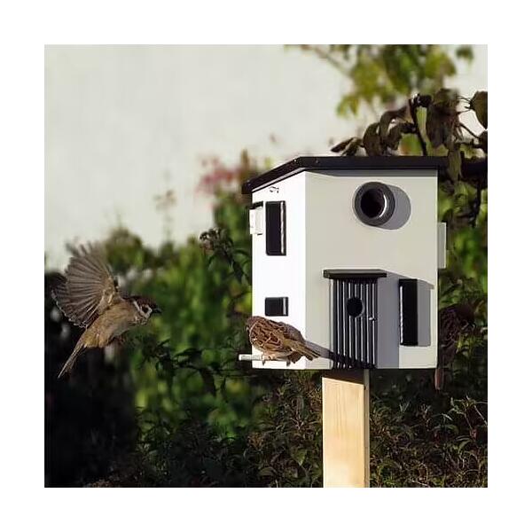  - Vogelhuis + voederhuis modern