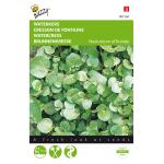 Waterkers - Nasturtium officinalis