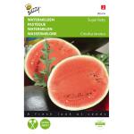 Watermeloen Sugar Baby - Citrullus lanatus