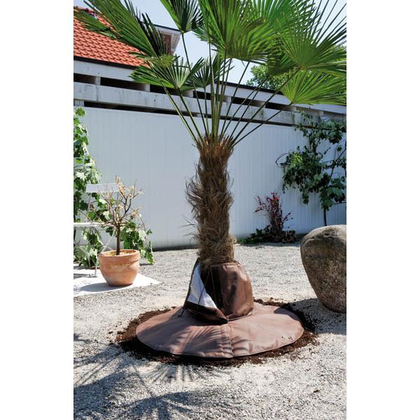 Wortelbescherming palmboom