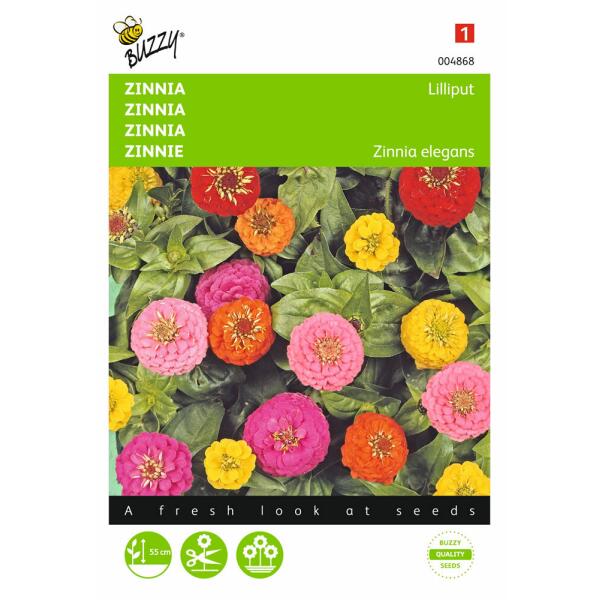 Zinnia Lilliput mix - Zinnia elegans